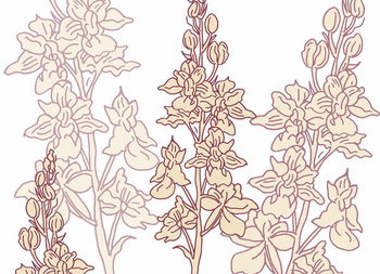 Valokuvatapetti Orchid, 2017,