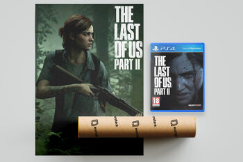 Videojogo The Last of Us Part II (PS4)