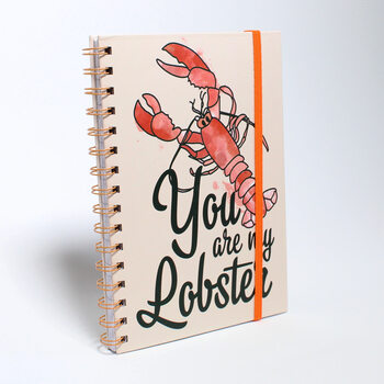Vihko Friends - You are my Lobster