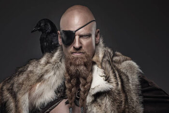 Футболка Viking warrior Odin man with crows