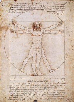 Art Print Vitruvian Man