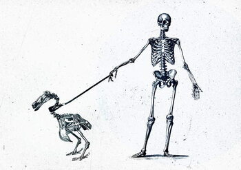 Принти на полотні Walking my dodo, 2015