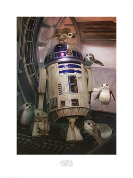 Star Wars The Last Jedi - R2-D2 & Porgs Art Print