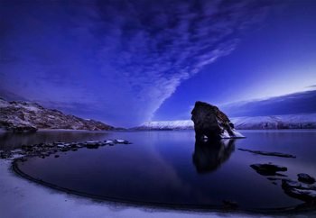 Awakening Wallpaper Mural