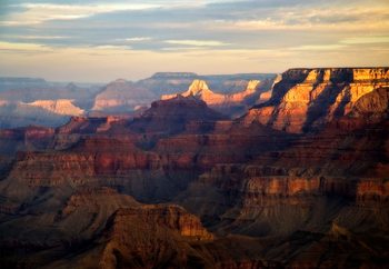 Awakening Wallpaper Mural