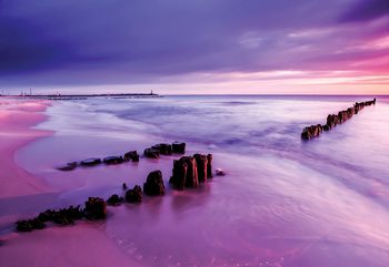 Beach Purple Sunset Sea Wallpaper Mural