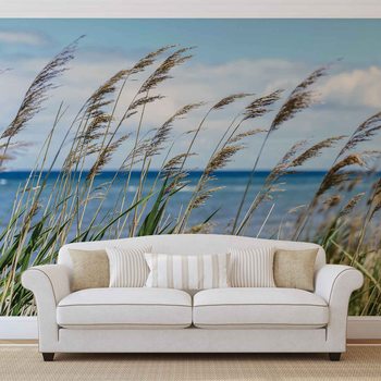 Beach Sea Sand Nature Wallpaper Mural