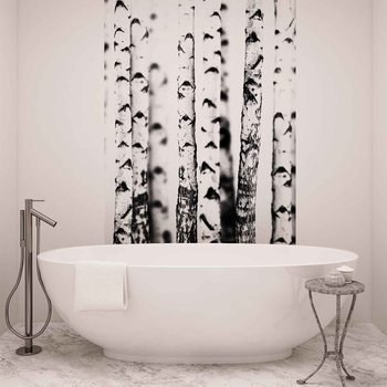 Birch Trees Wallpaper Mural