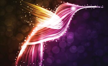 Bird Hummingbird Neon Colours Wallpaper Mural