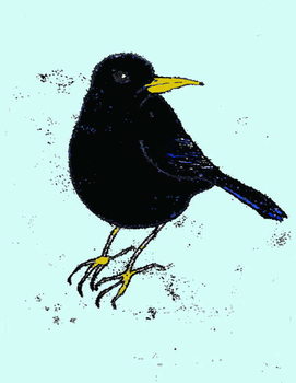 Ταπετσαρία Blackbird,2008