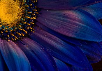 Фототапет Blue Rays