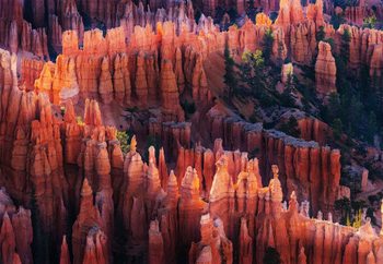 Bryce Canyon At Sunset Wallpaper Mural