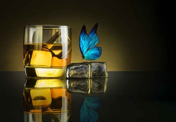 Butterfly Drink Wallpaper Mural