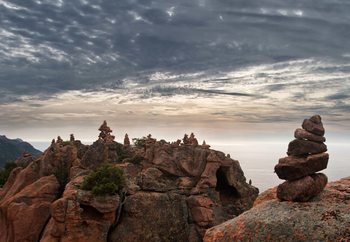 Cairns Wallpaper Mural