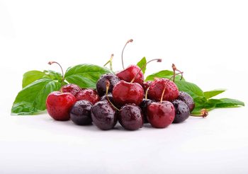 Cherries With Leaves Wallpaper Mural