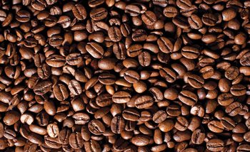 Coffee Beans Wallpaper Mural
