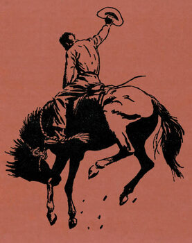 Ταπετσαρία Cowboy