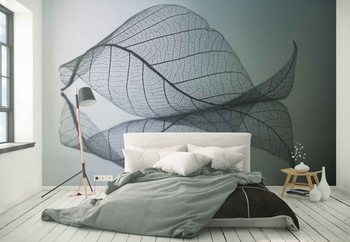 Curvaceousness Wallpaper Mural