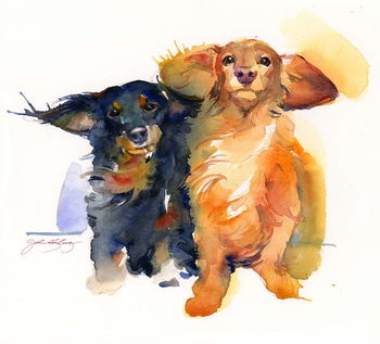 Ταπετσαρία Dacshund Duo, 2014,
