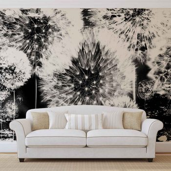 Dandelion Black White Wallpaper Mural
