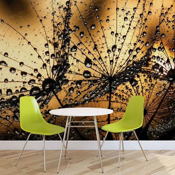 Dandelion Wallpaper Mural