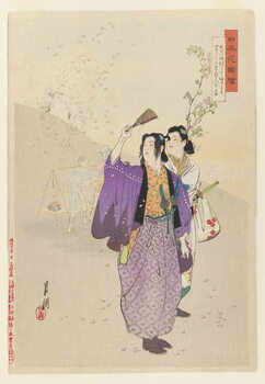 Ταπετσαρία Dandies Admire Falling Cherry Blossoms