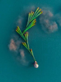 Ταπετσαρία Drone shot looking down on a