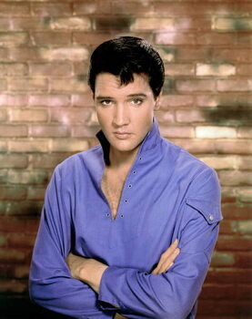 Ταπετσαρία Elvis Presley