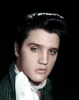 Ταπετσαρία Elvis Presley