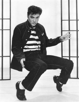 Ταπετσαρία Elvis Presley
