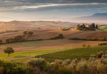 Fairyland At Dawn Wallpaper Mural