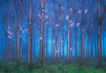 Fairyland Wallpaper Mural