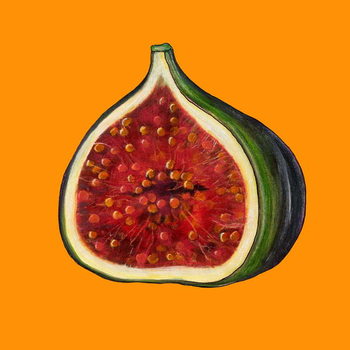 Ταπετσαρία Fig on orange