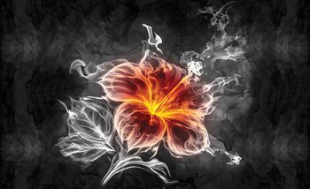 Фототапет Flower