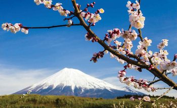 Flowers Mountain Snow Nature Wallpaper Mural
