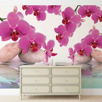 Flowers Orchids Wallpaper Mural