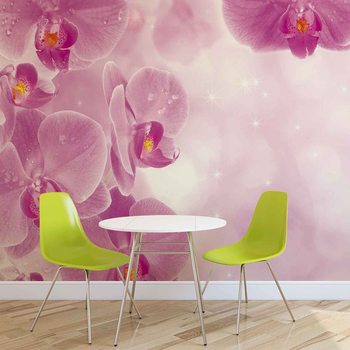 Flowers Orchids Wallpaper Mural