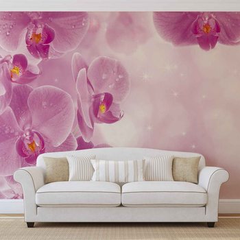 Flowers Orchids Wallpaper Mural