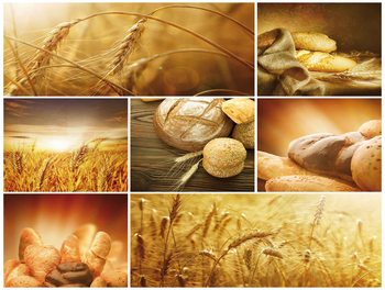 Food Bread Wallpaper Mural