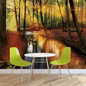 Forest River Beam Light Nature Wallpaper Mural