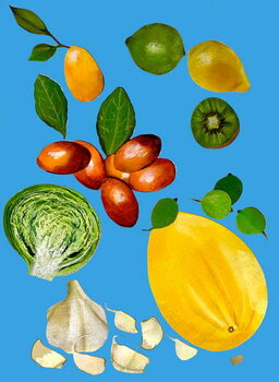 Ταπετσαρία Fruit & veggies 2020