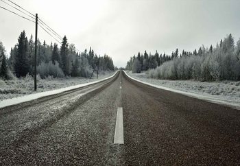 Going Somewhere Wallpaper Mural