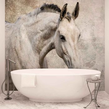 Horse Pony Wallpaper Mural