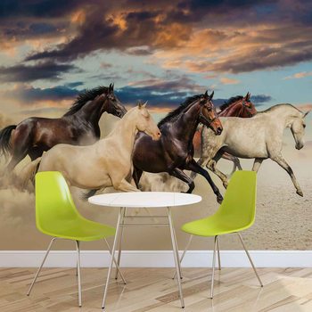 Horses Wallpaper Mural