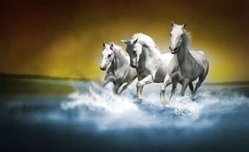 Horses Wallpaper Mural