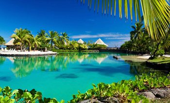Island Palms Tropical Sea Wallpaper Mural