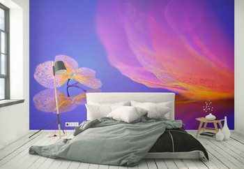 Leaf Message Wallpaper Mural