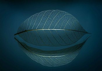 Фототапет Leaf Skeleton