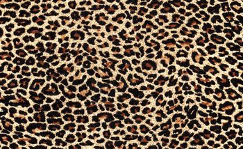 Leopard Wallpaper Mural