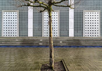 Little Tree Scape Wallpaper Mural